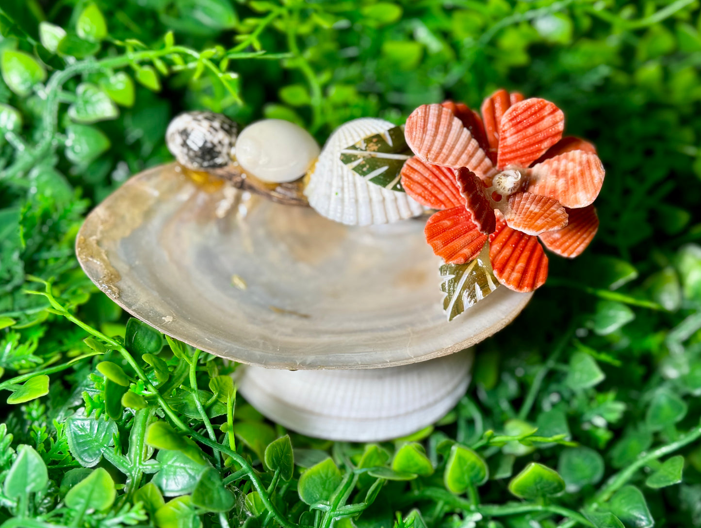 River Oyster Feeder