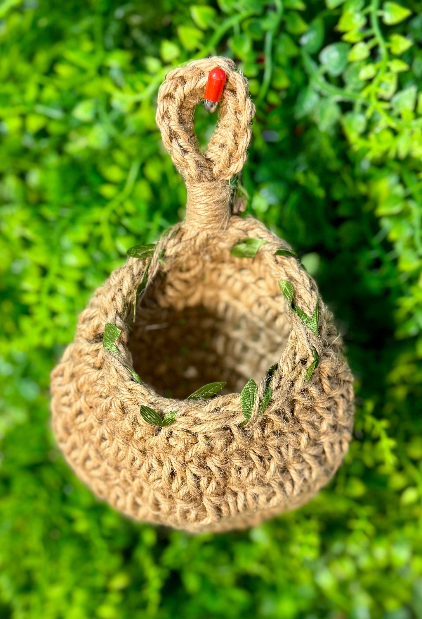 All Natural Hermit Crab hideout w/ greenery