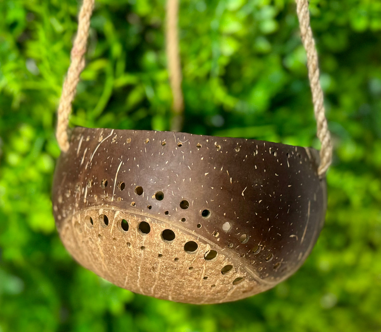 All Natural Two-Tone Coconut Hideout