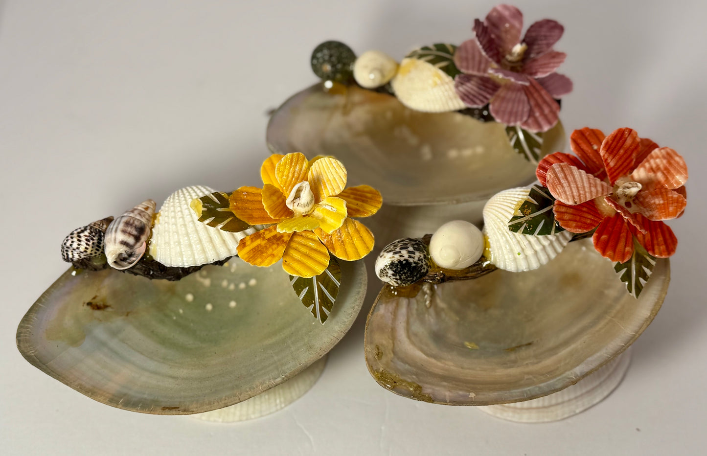 River Oyster Feeder