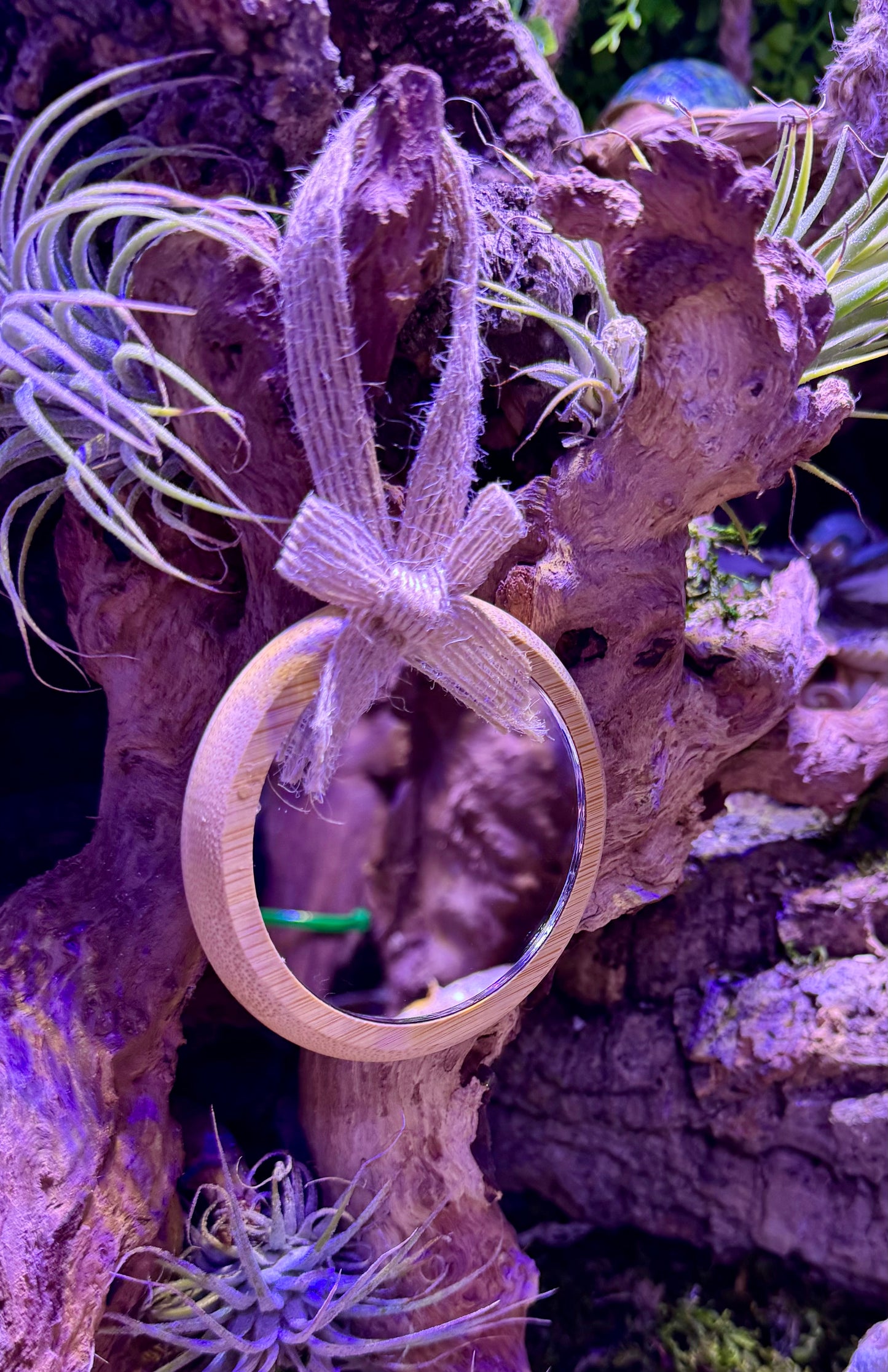 Hermit Crab Sized Mirror