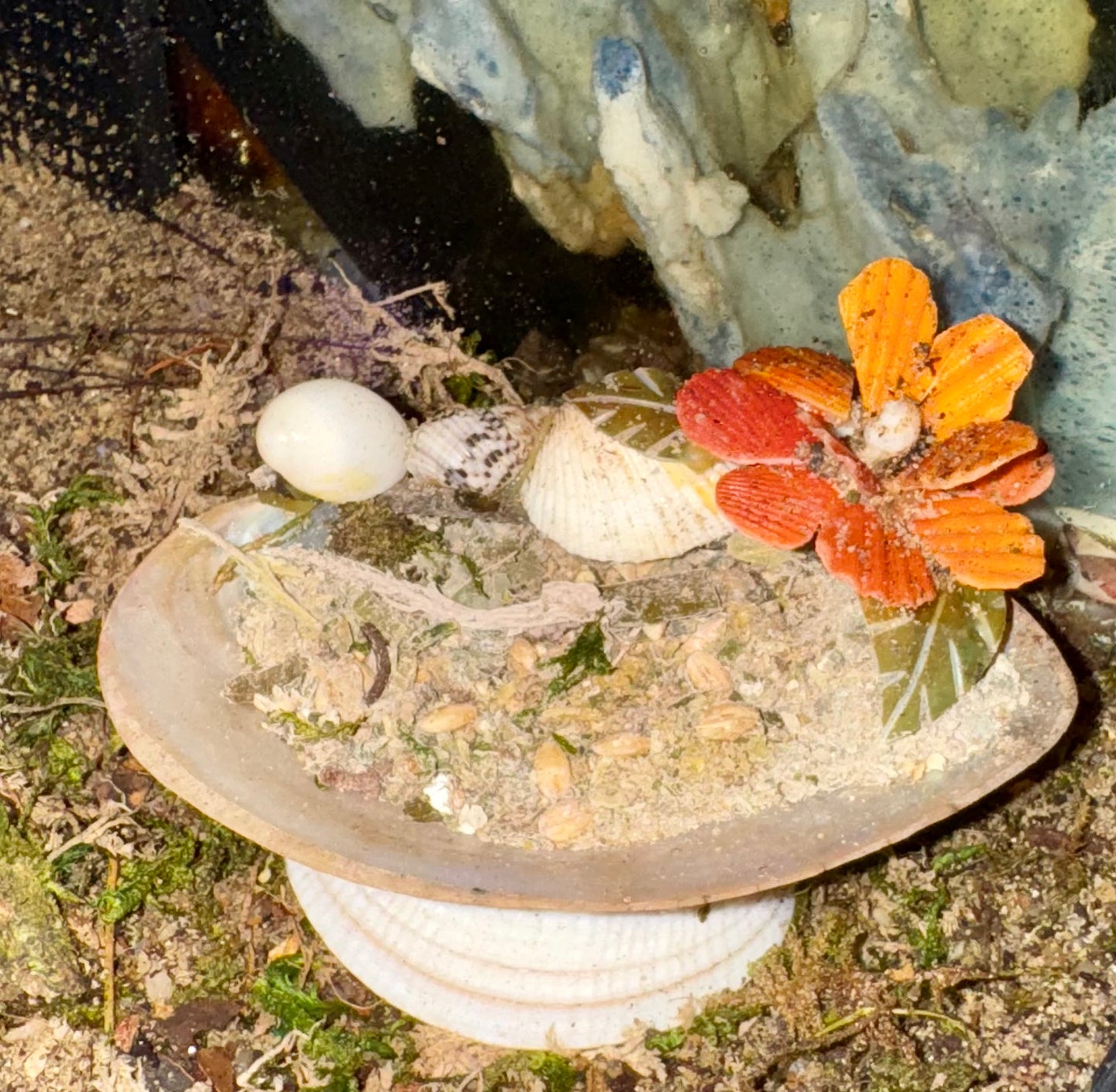 River Oyster Feeder