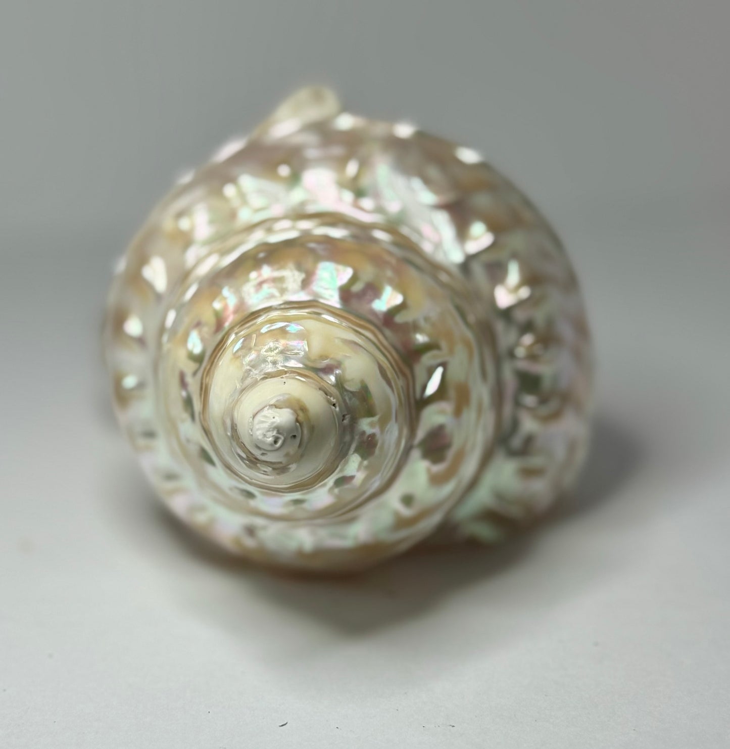 Polished Wavy Turban