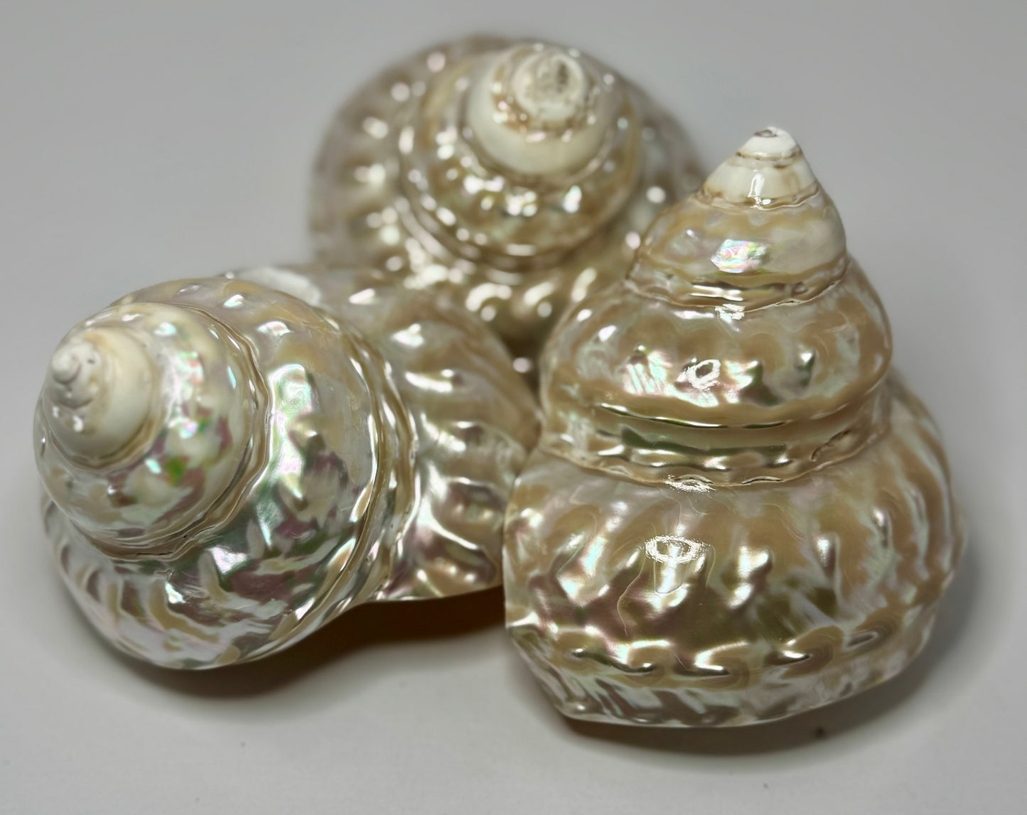 Polished Wavy Turban