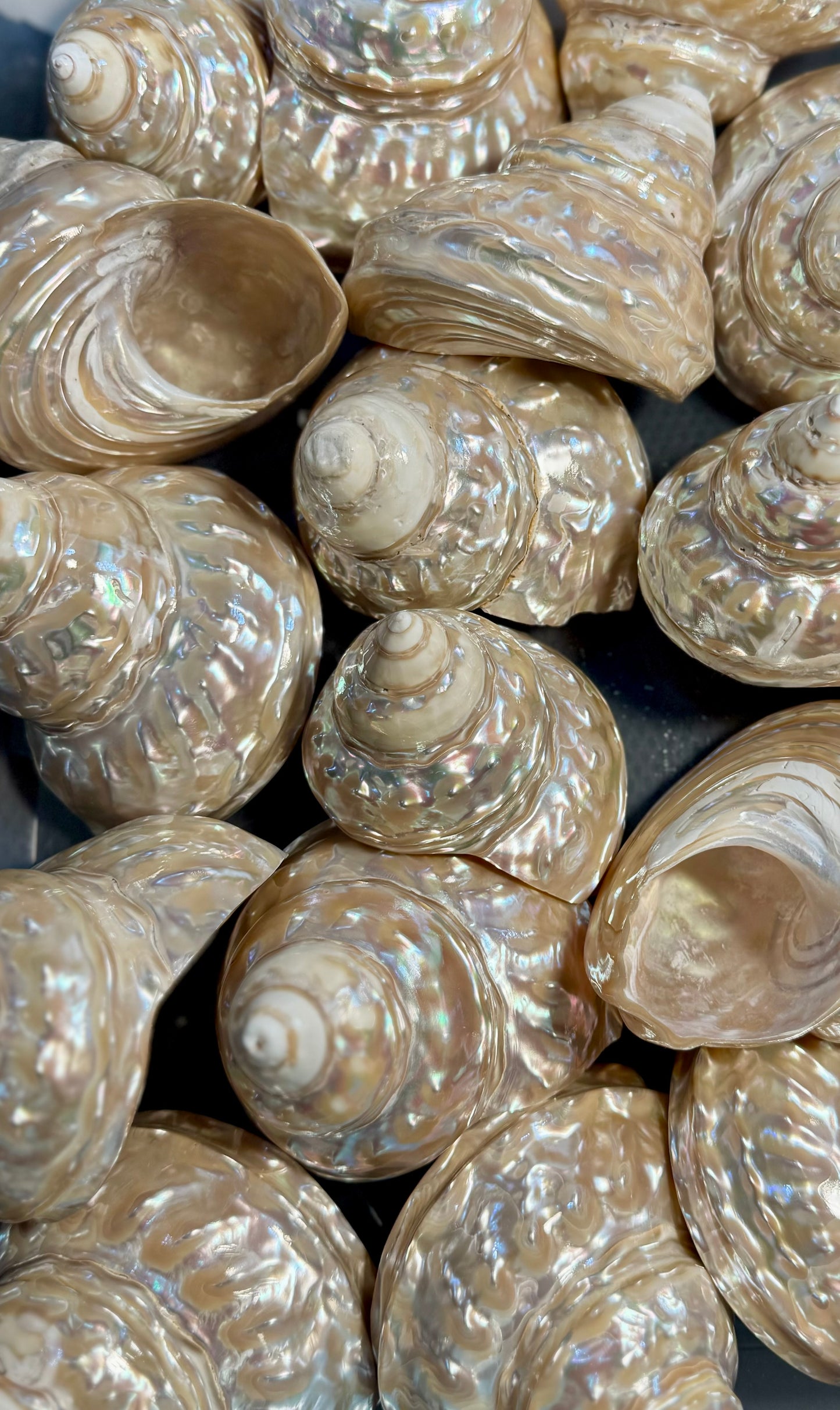 Polished Wavy Turban