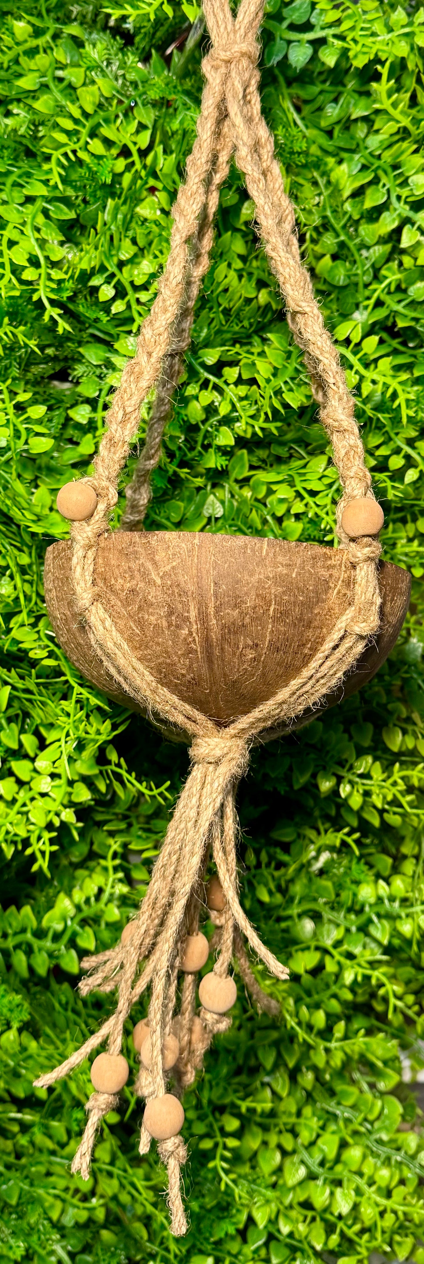 All Natural Coconut Swing