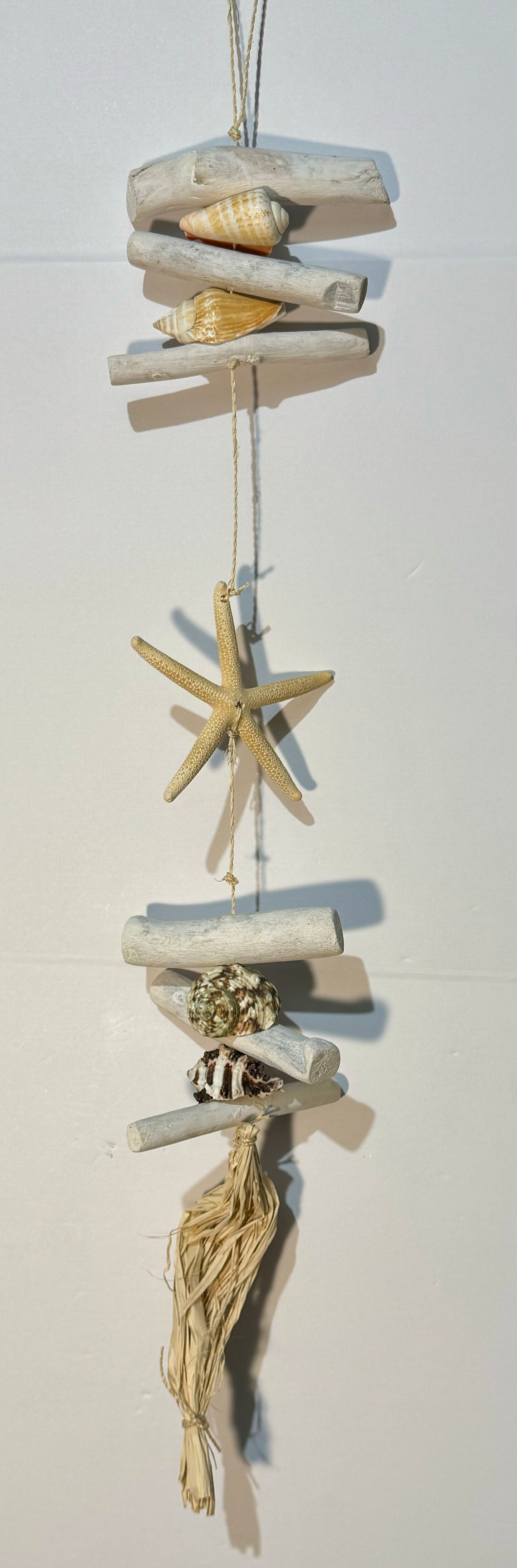 Driftwood Starfish Strand