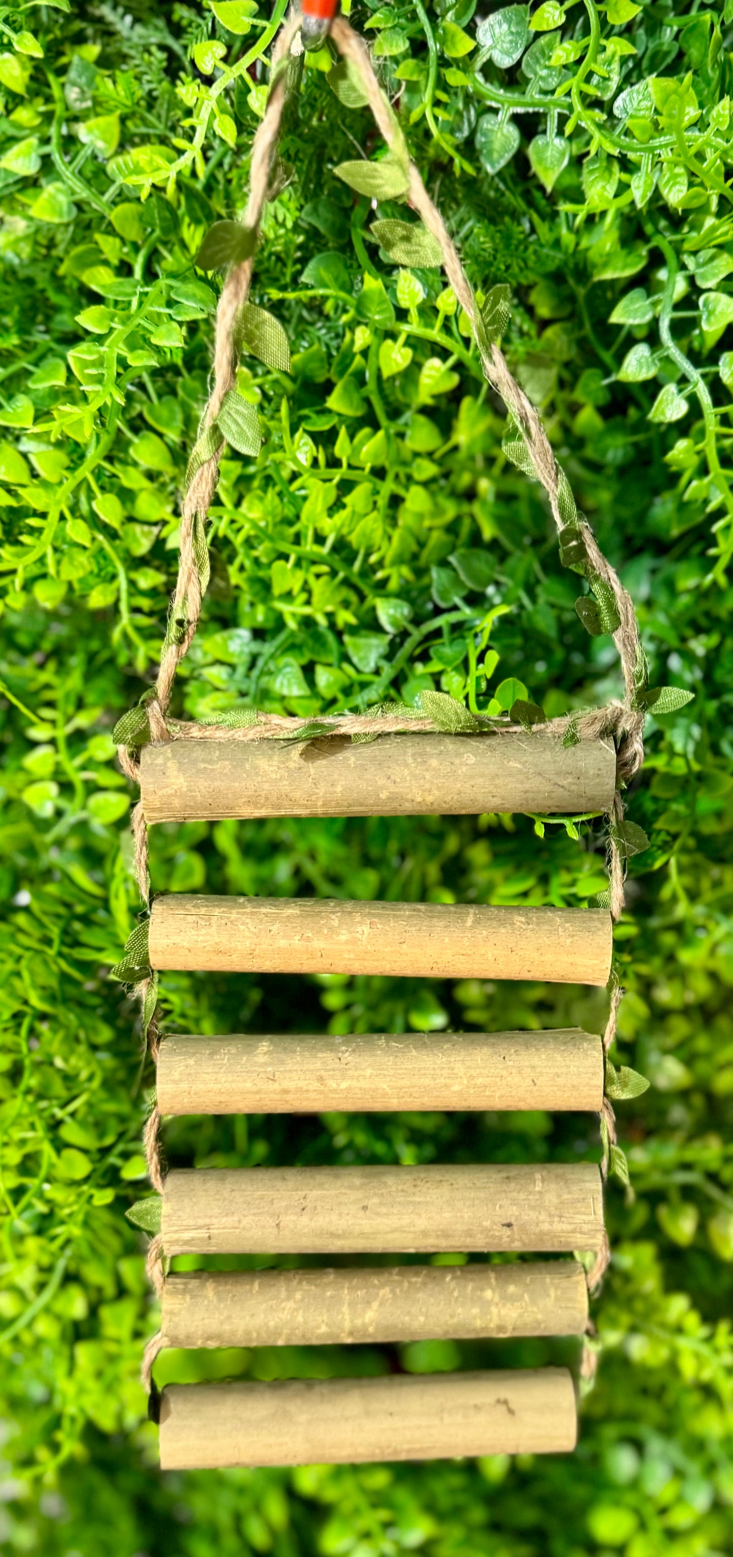 All Natural Bamboo Ladder